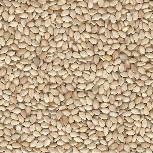 Oilseeds & Seeds