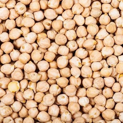 Pulses & Legumes