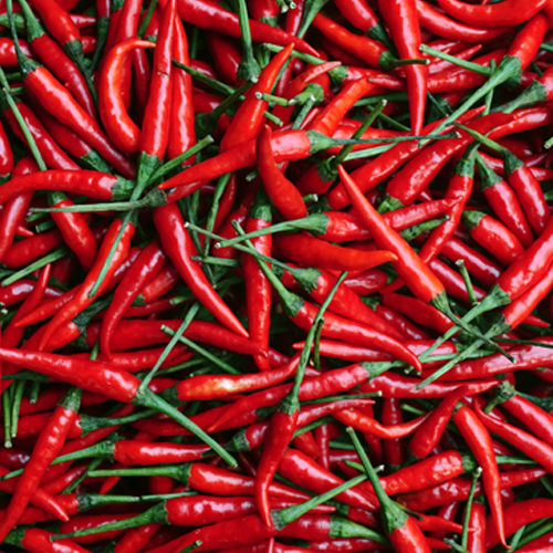 Spices